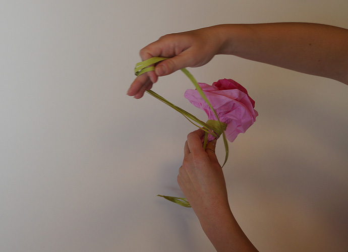 Packseide-Blumen