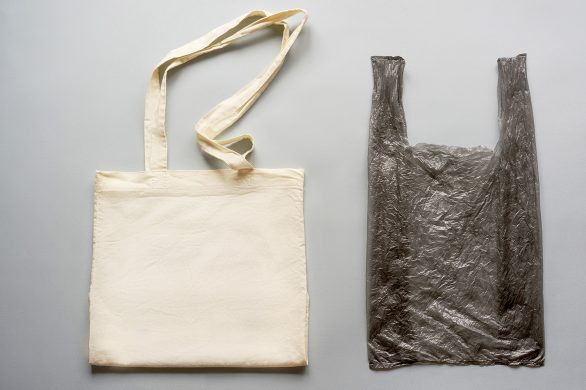 Tüte-Papier-oder-Plastik