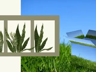 Karton Herstellung Gras